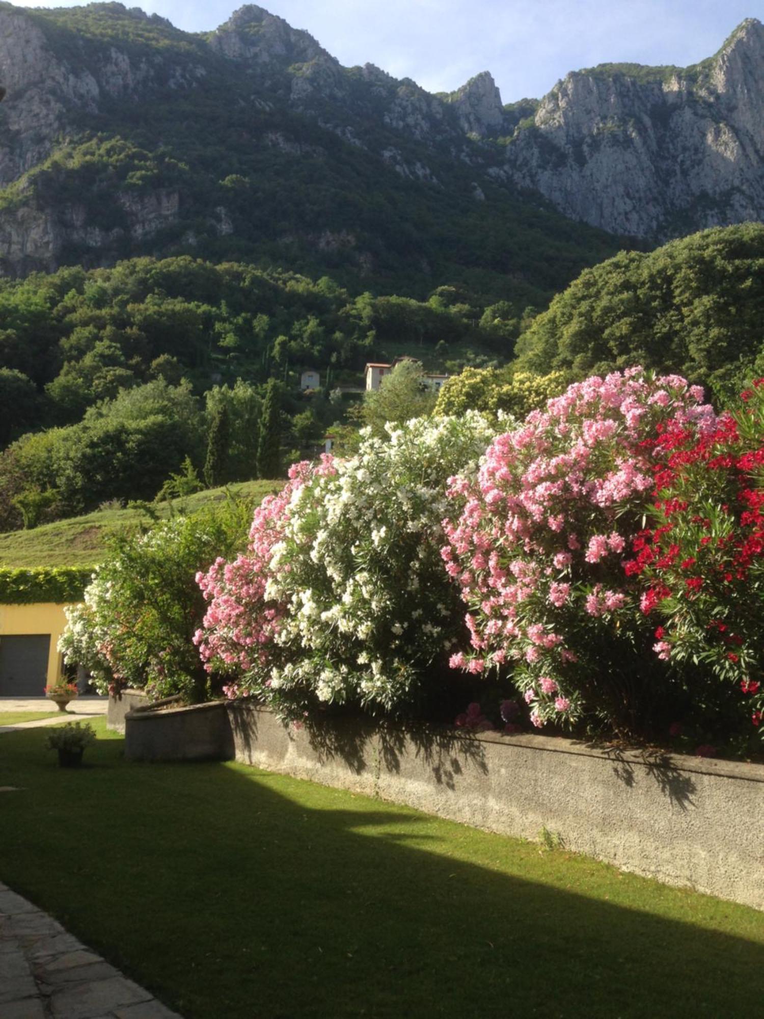 Montebello Lake Lecco Exteriér fotografie